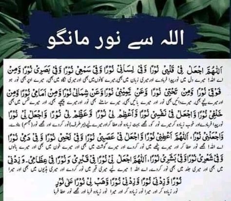 Dua E Noor Full, Dua Noor, Dua E Noor, Duas Islamic, Dua Images, Urdu Dua, Qurani Dua, Islamic Prayers, Surah Yasin