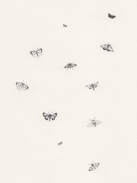 Tattoo Papillon, Luna Moth Tattoo, Simple Draw, Borboleta Tattoo, Moth Drawing, Bug Tattoo, Handpoke Tattoo, Moth Tattoo, Female Tattoo