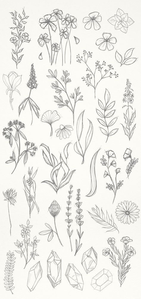 Simple Floral Sketch Drawings, Messy Flowers Drawing, Crystal Sketch Drawings, Drawing Floral Designs, Simple Flowers Design, Floral Drawings Simple, Flower Bundle Drawings, Crystal Flower Drawing, Flower And Crystal Tattoo