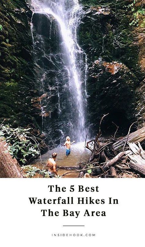 Five spectacular waterfall hikes in the Bay Area, from Marin County to the Santa Cruz Mountains. Winter Waterfall, Bay Area Hikes, Northern California Road Trip, Northern California Travel, Area Activities, California Hikes, Santa Cruz Mountains, Waterfall Hikes, Marin County