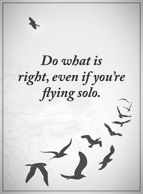 Best Inspirational Quotes : Life Sayings Do What Is Right, Flying Solo short inspirational quotes about life "Do What is right, even if You're flying solo." Quotes For Birds Life, Even If Quotes, Quotes About Birds Short, Bird Quotes Inspirational, Quotes About Birds Inspirational, Birds Quotes Inspirational, Bird Quotes Inspirational Short, Quotes On Birds, Do What Is Right Quotes