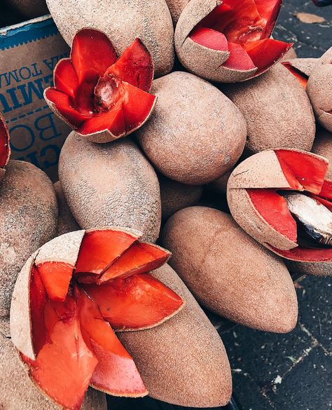 Mamey Fruit, Sapote Fruit, Massive Garden, Exotic Fruit, Food Facts, The Fruit, A Stand, Mexico City, Farmers Market