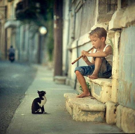 "Sometimes the smallest things take up the most room in your heart" ― A.A. Milne, Winnie The Pooh * Little boy playing the flute, with an attentive cat by Unknown Figure Reference, Boys Playing, Pictures Of People, Animated Images, Pose Reference Photo, 인물 사진, Reference Images, Human Figure, Photo Reference