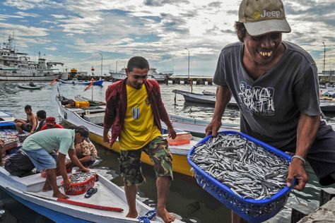 Fishing is integral to millions of Indonesians’ livelihoods and identities, with an estimated 2.5 million households involved in small-scale (non-industrial) fishing and aquaculture. Small-scale fishing includes a wide variety of activities, from subsistence harvesting to fish processing, and is performed by individuals, informal fishers’ groups, and even formal private sector businesses. But despite Indonesia’s rich […] Araling Panlipunan Design, Sustainable Development Projects, Kuala Selangor, North Sulawesi, South Sulawesi, Sustainable Fishing, Biodiversity Conservation, Famous Composers, Marine Conservation