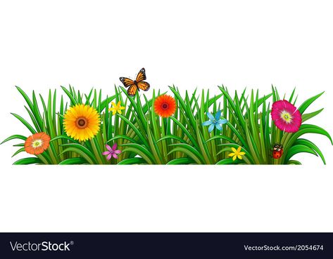 Garden Flowers Drawing, Bible Garden, Grass Drawing, Rainbow Wallpaper Iphone, Butterfly Vector, Banner Background Hd, Photo Album Design, Frame Border Design, Grass Flower