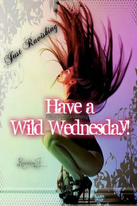 Wild wednesday Wild Wednesday, Tuesday Morning, Good Morning, Quotes