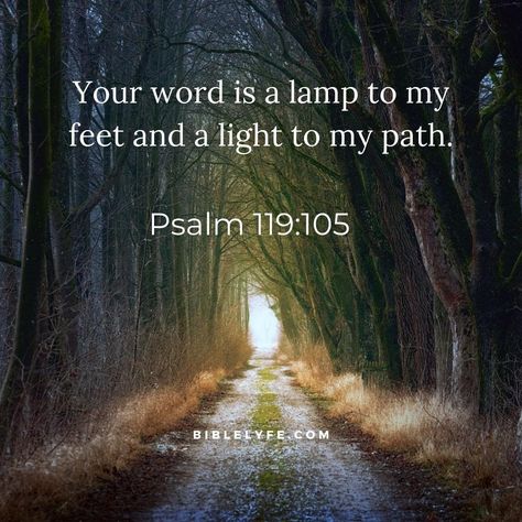 Your word is a lamp unto my feet. - Psalm 119:105 No Fast Food, Psalms 119 105, Proverbs 30, Psalm 119 11, Spiritual Songs, The Human Mind, New American Standard Bible, Bible Promises, Bible Time