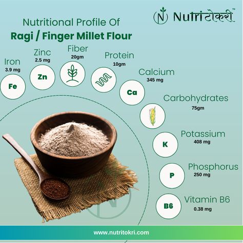 ragi flour composition and nutritional value Ragi Benefits, Millets Poster, Ibs Snacks, Millet Benefits, Ragi Flour, Finger Millet, Millet Flour, Temple Pictures, Healthy Digestive System