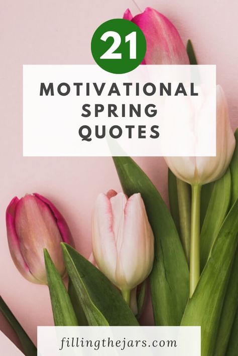 These 21 spring motivational quotes are the perfect inspiration for living your best season. From spring reflection quotes to positive spring quotes, you’ll appreciate all the possibilities of the energy spring brings with it each year. #quotes #motivation #inspiration Spring Motivational Quotes, Springtime Quotes Inspiration, April Motivational Quotes, May Day Quotes Inspiration, Quote About Spring, May Inspirational Quotes, Spring Motivation, Christian Spring Quotes, Inspirational Spring Quotes