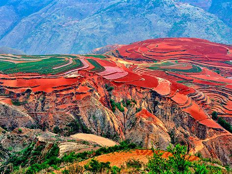 Dongchuan Red Land in Kunming is one of the best places for photography fot its splendid views, and it has attracted plenty of tourists to come and have a great day tour. For tourists who are planning a trip to Dongchuan Red Land from Kunming, here we make this article to give you the most useful travel tips. China Scenery, Kunming China, Terraced Landscaping, Old Dragon, Artemis Fowl, Kunming, Plan A Trip, China Travel, Sunset Pictures