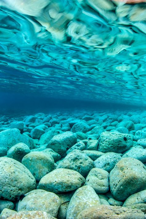 Creature Marine, Mermaid Aesthetic, Hur Man Målar, Under Water, Color Turquoise, Turquoise Water, Blue Aesthetic, Ocean Waves, Nature Pictures