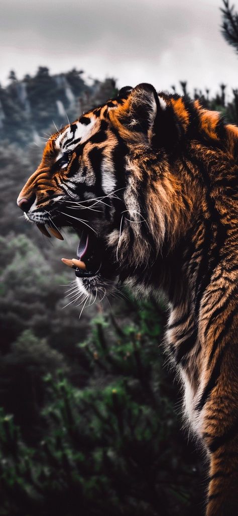 Tigre Wallpaper, Wallpaper Tigre, Tiger Wallpaper Iphone, Tigers Wallpaper, Wallpaper Tiger, Tiger Jewelry, Wild Animal Wallpaper, Tiger Artwork, Lion Photography