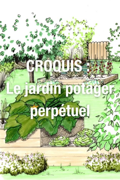 Le jardin potager perpétuel en permaculture Plan Potager, Food Forest Garden, Permaculture Design, Dug Up, Diy Wall Art Decor, Diy Greenhouse, Green With Envy, Food Forest, Forest Garden