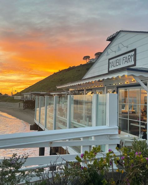 Los Angeles Malibu, Los Angeles Vibes Aesthetic, Malibu Farm Cafe, Malibu Vibes, Brentwood Los Angeles, Malibu Los Angeles, La Aesthetic, Malibu Farm, Los Angeles Aesthetic