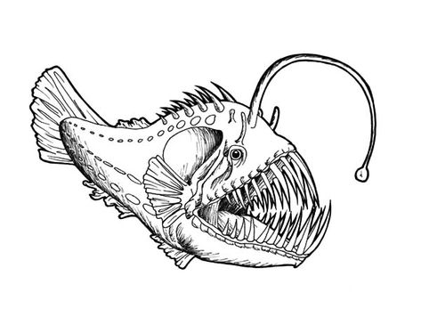 Angler Fish Drawing, Ocean Drawings, Fish Coloring, Life Artwork, Fish Drawing, Fish Coloring Page, Singing Monsters, Winged Horse, Math Coloring