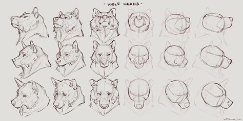 Head Drawing Reference, Wolf Head Drawing, Taran Fiddler, Wolf Base, Wolf Poses, Draw Better, Hard Drawings, Head Angles, Canine Drawing