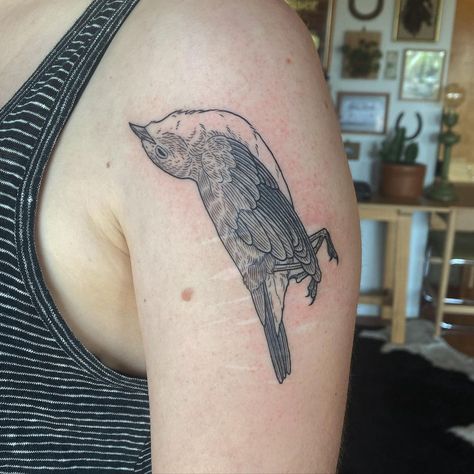 Dead Animal Tattoo, Dead Bird Tattoo, Shrike Tattoo, Scar Coverup Tattoo, Wagtail Tattoo, Tattoo Scar Cover, Feather Tat, Print Making Designs, Dead Bird