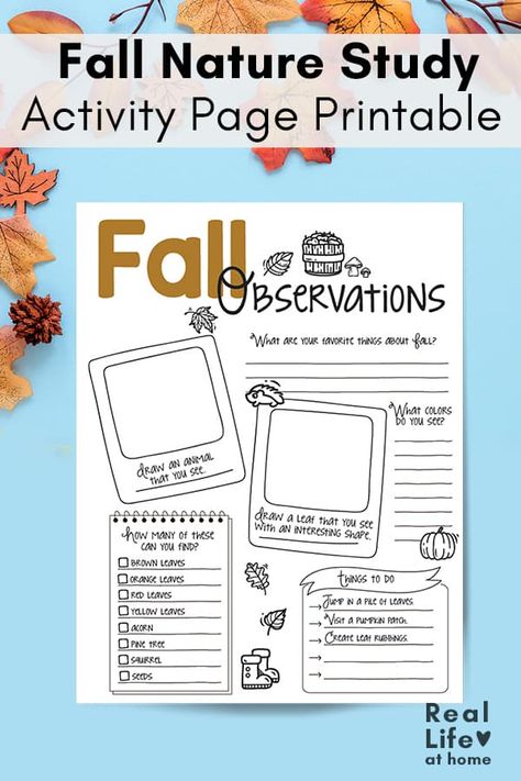 Free Fall Printables Elementary, Free Fall Unit Study, Fall Nature Walk Activities Kids, Nature Journaling For Kids, Fall Nature Study, Autumn Homeschool, Fall Nature Study Homeschool, Nature Journal Kids, Homeschool Notebooking