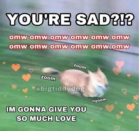 Wholesome Pictures, You My Love, Cute Love Memes, Love And Affection, Memes Br, Cute Messages, 웃긴 사진, Lovey Dovey, Wholesome Memes