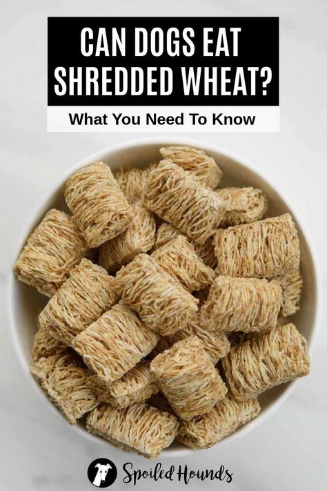 Can dogs eat Shredded Wheat? Keep your dog safe and find out what you need to know about dogs eating shredded wheat cereal and frosted mini wheats. Mini Wheats Cereal Recipes, Recipes Using Shredded Wheat Cereal, Mini Wheats Cereal, Frosted Mini Wheats, Cracked Wheat Cereal, Shredded Wheat Cereal, Dogs Eating, Foods Dogs Can Eat, Mini Wheats