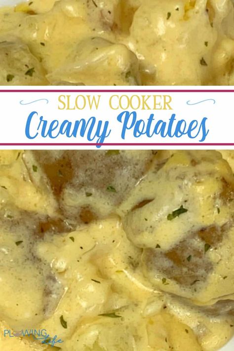 Creamy Crock Pot Potatoes with text Rice Crockpot, Creamy Potatoes, Cooking Vegetables, Crock Pot Potatoes, Creamed Potatoes, Dump Meals, Creamy Potato, Awesome Recipes, Dinner Plan