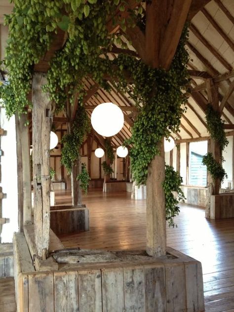 Hops for Marquee Hops Decoration, Hops Decor, Hops Wedding, Country Style Wedding, Bottle Shop, Ornamental Plants, Woodland Wedding, Autumn Wedding, Wedding Arch