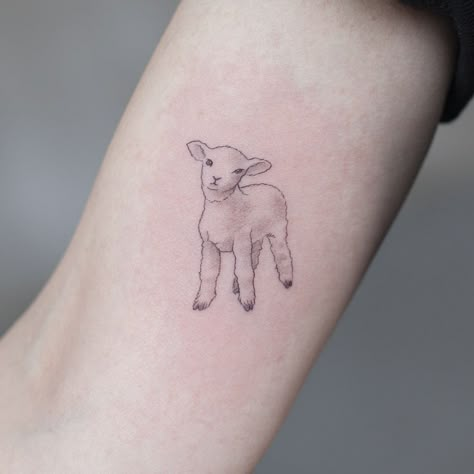 Seasonal Tattoos, Lamb Drawing, Lamb Tattoo, Sheep Tattoo, Bible Tattoos, 16 Tattoo, Goat Art, Type Tattoo, Geniale Tattoos