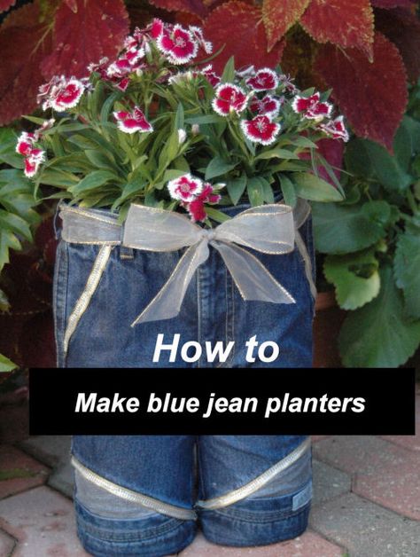 DIY Blue Jean Planters - http://thegardeningcook.com/diy-blue-jean-planters/ Jean Planters, Blue Jean Crafts, Creative Planter, Blue Jeans Crafts, Outdoor Crafts, Jean Crafts, Garden Containers, Denim Crafts, Whimsical Garden