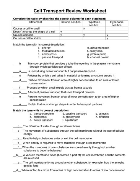 Cell Transport Worksheets Active Transport Biology Notes, Cell Membrane Notes, Cell Function And Structure, Transport Across Cell Membrane Notes, Cell Membrane Transport, Membran Sel, Passive Transport, Cell Membrane Structure, Cell Transport