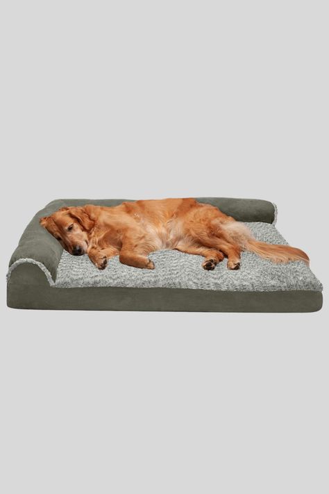 dog bed, dog bed large, luxury dog beds, dog bed amazon, medium dog beds, small dog beds, best dog bed, large dog bed, indestructible dog bed, outdoor dog bed, raised dog bed, chew proof dog bed, casper dog bed, costco dog bed, kong dog bed, serta dog bed, heated dog bed, orthopedic dog bed, kuranda dog bed, best dog bed, cooling dog bed, memory foam dog bed, pendleton dog bed, waterproof dog bed, dog bed with cover, calming dog bed, big barker dog bed, human dog bed, washable dog bed Chaise Lounge Dog Bed, Dog Couch Bed, Bed For Dogs, Cat Dark, Dog Sofa Bed, Covered Dog Bed, Memory Foam Dog Bed, Orthopedic Dog Bed, Dog Sofa