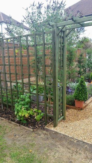 trellis planting Garden Arched Trellis Ideas, Decorative Trellis Ideas, Corner Trellis Ideas, Arch In Garden, Front Yard Trellis, Vegetable Garden Trellis Ideas Diy, Trellis Ideas For Privacy, Garden Trellis Designs, Garden Dividers