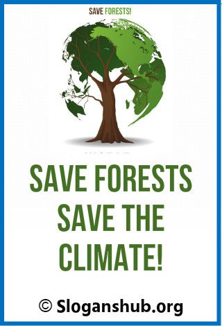 50 Catchy Save Forest Slogans Slogan About Calamities, Slogan About Environment, Conservation Of Forest, Incense Packaging, Species Extinction, Forest Conservation, Online Campaign, Forest And Wildlife, Campaign Posters