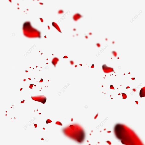 falling,petal,rose flower,romantic,sprinkling,red,beautiful,creativity Flower Falling, Red Roses Background, Rose Petals Falling, Petals Falling, Rose Flower Png, Blossom Background, Falling Petals, Flower Romantic, Drawing Materials