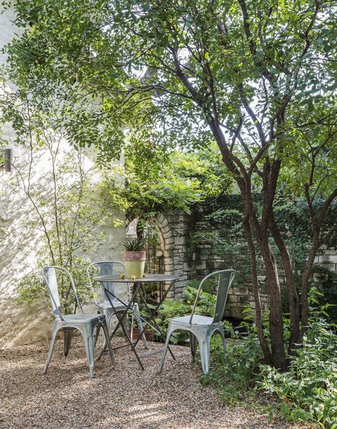 The New Gravel Backyard: 10 Inspiring Landscape Designs - Gardenista Gravel Courtyard, Brooklyn Backyard, Gravel Backyard, Gravel Patio, Matthew Williams, Gravel Garden, Front Patio, Landscape Designs, Country Landscaping