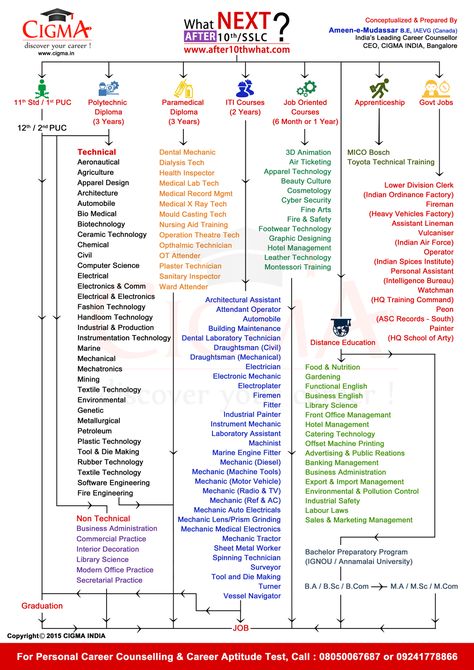 After 10th Career Chart, Career Chart, Computer Lab Decor, Commerce Stream, Lab Decor, Career Plan, English Grammar For Kids, Business Management Degree, Learn Web Development