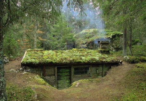 Case Sotterranee, Sod Roof, Earth Sheltered Homes, Casa Hobbit, Earth Sheltered, Underground Homes, Survival Shelter, Cob House, Hobbit House