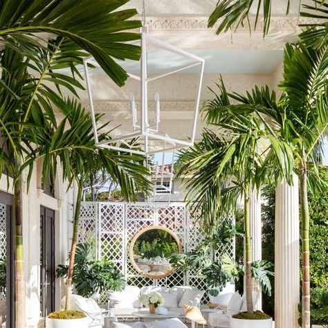 Patio Ideas Kips Bay Palm Beach Palm Beach Courtyard, Palm Beach Style Outdoor Spaces, Palm Beach Landscape Design, Kips Bay Showhouse Palm Beach 2023, Mediterranean Yard, Hampton Beach House, Beach House Patio, Plush Lounge Chair, Palm Beach Paintings & Prints