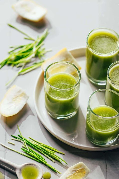 Wheatgrass Shot & Amazing Detox Benefits | The Awesome Green Wheatgrass Shot Recipe, Inflammation Juice, Growing Wheat Grass, Wheat Grass Shots, Wheatgrass Powder, Gluten Allergy, Essential Amino Acids, Ginger Shot, Help Digestion