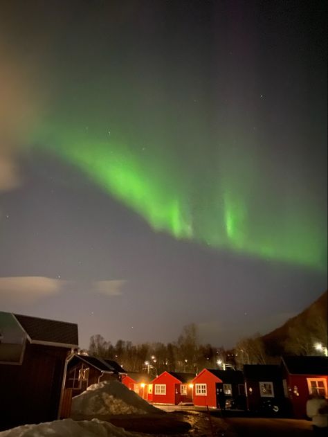 #northernlights #polarlights #tromsø #norway #travel #travelguide #erasmus #student #europe #solotravel #backpacking #aesthetic #fjord Tromso Norway Aesthetic, Tromsø Norway Aesthetic, Northern Europe Aesthetic, Tromso Norway Northern Lights, Tromso Aesthetic, Tromsø Aesthetic, Norway Asthetic, Norway Lights, Tromso Norway Winter