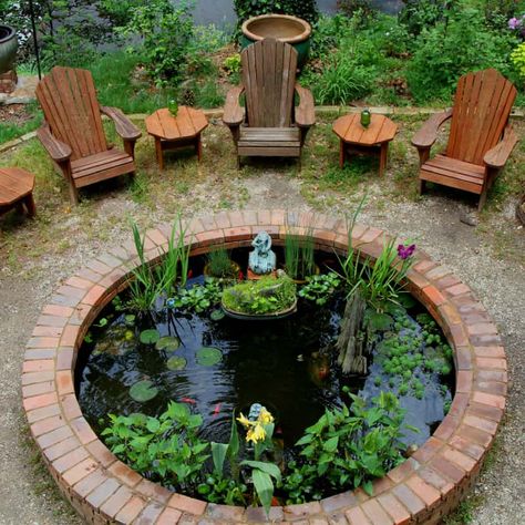 Raised circular pond with plants Outdoor Goldfish Pond, Goldfish Pond Ideas, Small Goldfish Pond, Raised Pond Ideas, Pond Ideas Backyard, Raised Ponds, Garden Ponds Ideas, Pond Design Ideas, Ponds Ideas