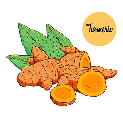 Turmeric Drawing, Turmeric Illustration, Turmeric Aesthetic, Ginger Illustration, Sentra Persiapan, Kunyit Asam, Ginger Art, Bride Cartoon, Spice Packaging