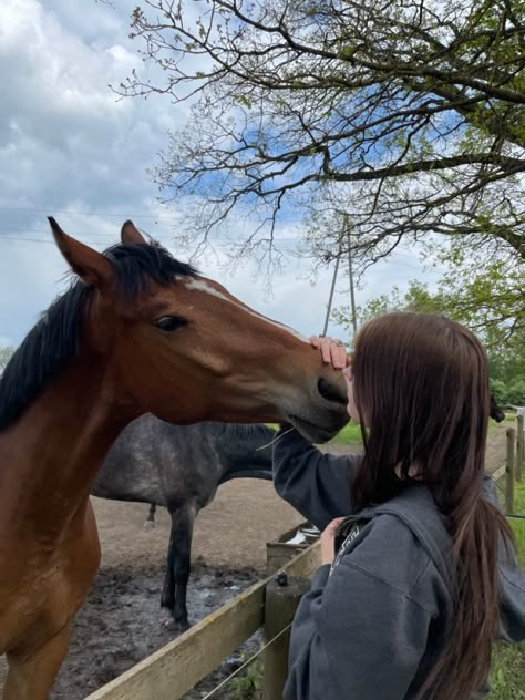 Horses Astethic, Owning A Horse Aesthetic, Aesthetic Horse Riding Pictures, Horse Riding Friends Aesthetic, Girl And Horse Aesthetic, Ride Horse Aesthetic, Girl Riding Horse Aesthetic, Horse Girl Aesthetic, Photo Horse