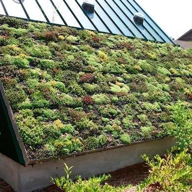 Outdoor Hydroponics, Eco Roof, Living Green Roof, Green Roof Design, Extensive Green Roof, Green Roof Garden, Green Roof House, Sedum Roof, Green Roof System