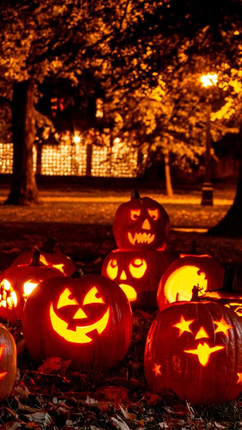 Spooky season is coming. These are my favorite unique Fall activities to get in the mood for autumn - from pumpkins to fall candles to movie nights! This is your ultimate fall checklist to use. Pumpkin Carving Kits, Red Ribbon Week, Fall Images, Unique Fall, Halloween Pumpkins Carvings, Halloween Inspo, Best Iphone Wallpapers, Halloween Decorations Indoor, Fall Candles