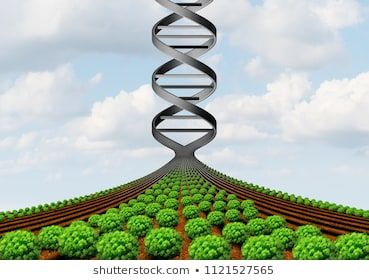 Food Biotechnology, Genetically Modified Food, Genetic Engineering, Genetically Modified, Biotechnology, Environmental Science, Growing Food, 3d Illustration, New Technology