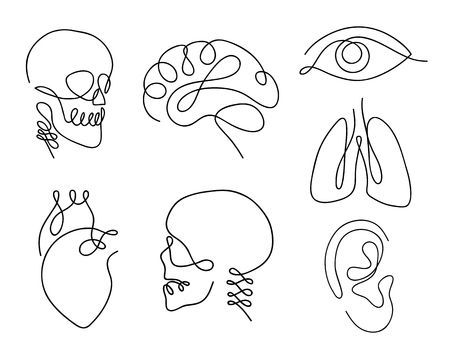 Line Drawing Images, Hirsch Tattoo, Brain Drawing, One Line Tattoo, Human Organs, Tattoo Schrift, Silhouette Logo, Initial Tattoo, Fox Tattoo