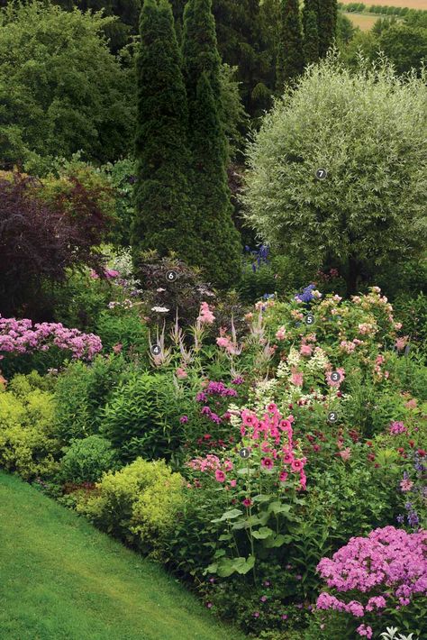 4 Planting Plans for Multiseason Garden Designs - FineGardening Dreamy Backyard, New England Garden, Boston Garden, Landscaping Projects, Border Ideas, Planting Plan, Cottage Garden Design, Cottage Gardens, Fine Gardening