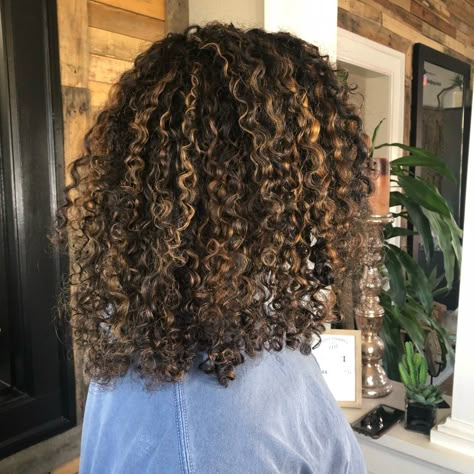 Medium Curls With Caramel Highs Naturally Curly Hair Updo, Curly Hair Color Ideas, Curly Hair Color, Natural Hair Highlights, Curly Highlights, Dyed Curly Hair, Highlights Curly Hair, Medium Curls, Curly Hair Photos