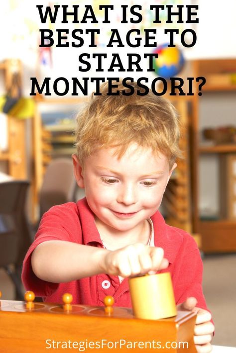 So, you’re wondering when the best time is to start Montessori with your child? The best age to start your child in Montessori is from birth. Montessori is famous for developing materials for infants, such as mobiles that she designed to help babies learn to distinguish different colors. #montessori #montessorimethod #education #earlyeducation #montessoriapproach #homeschooling Montessori Preschool Classroom, Montessori Environment, Montessori Method, Education Tips, Montessori Preschool, The Redwoods, Montessori Classroom, Montessori Education, Maria Montessori