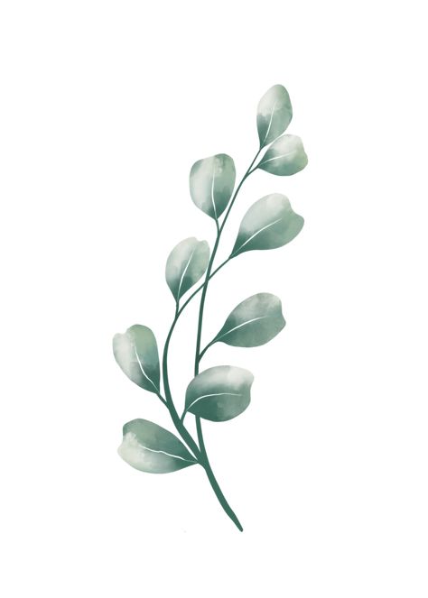 Eucalyptus Watercolor, Watercolor Eucalyptus, Watercolor Png, Eucalyptus Leaves, Blue Mountain, Green Plants, Png Download, Happy Thanksgiving, Free Png